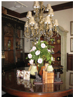 Silve Lining Interiors